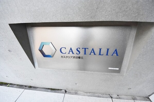 カスタリア渋谷櫻丘の物件内観写真